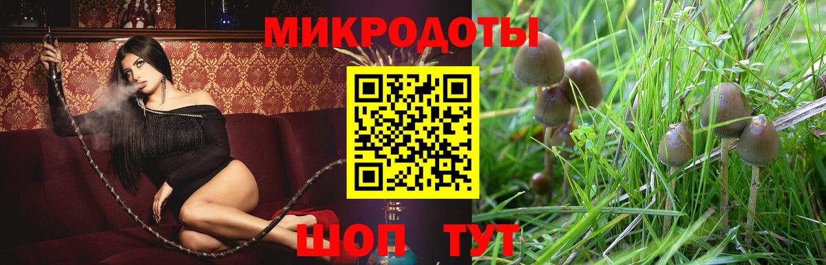 Галлюциногенные грибы Magic Shrooms  Вход с VPN  Добрянка 